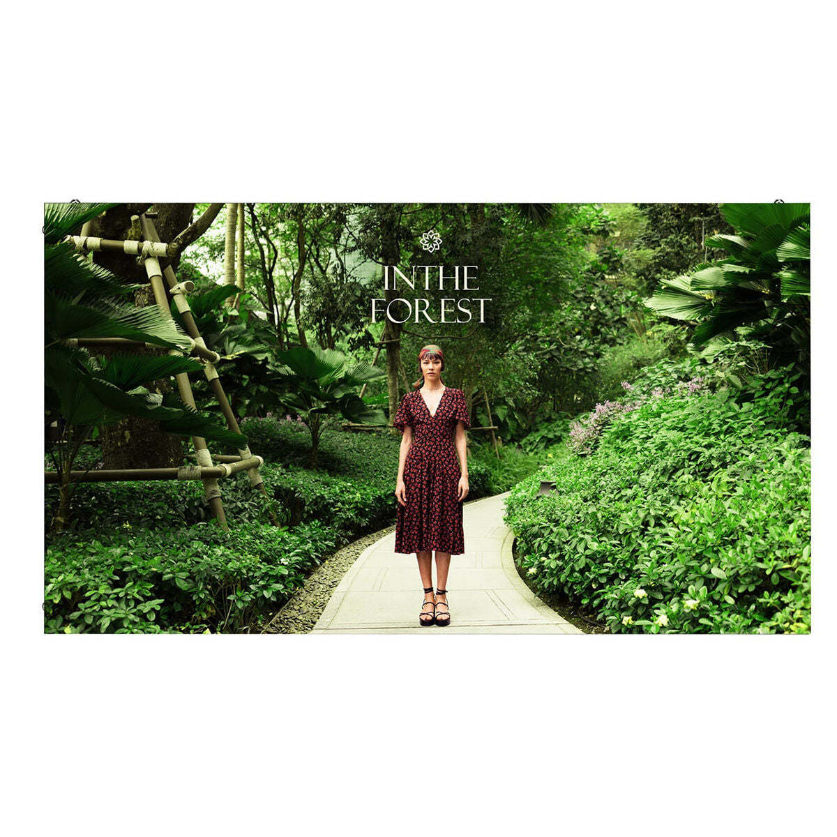 V3HE8CC83672F419443D1DF05C6EDC6F6DFR5595331P9