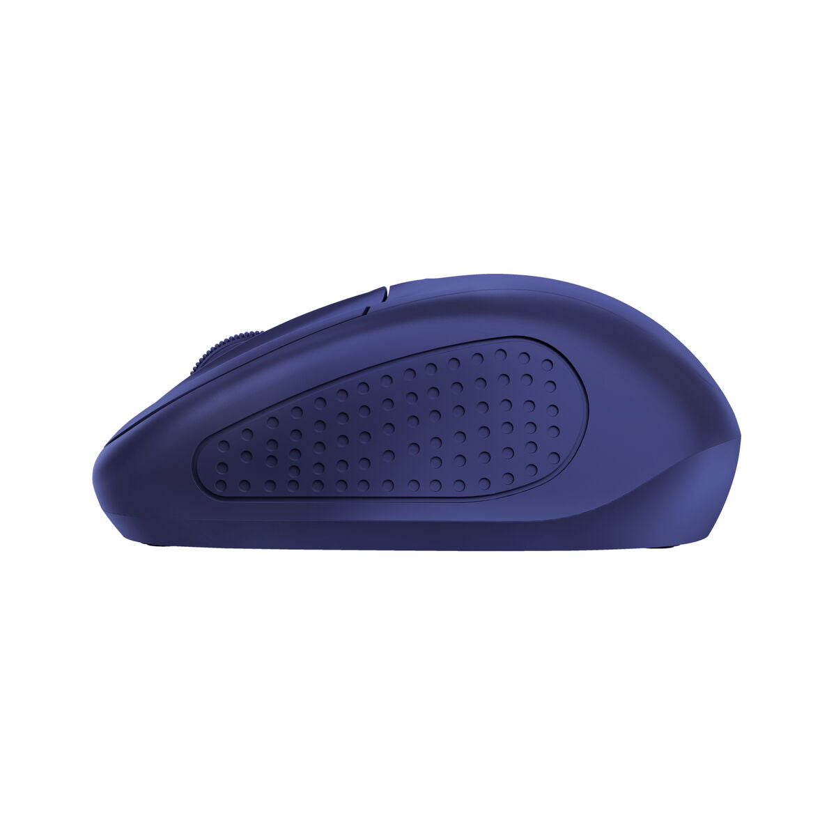 Mouse Ottico Wireless Trust Azzurro