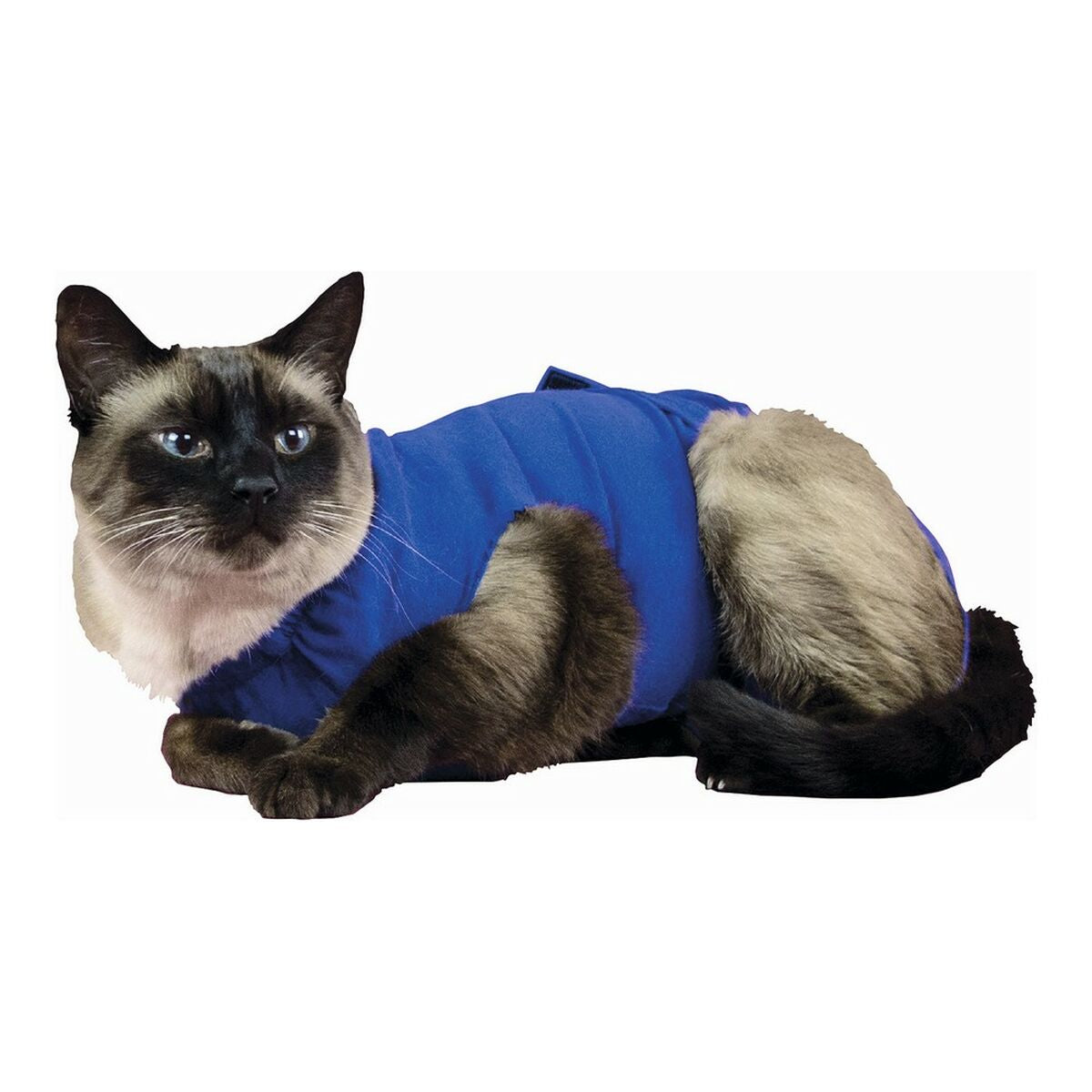 V11H46775EC084016C661E2F4D8C82757A1ER5358559P1