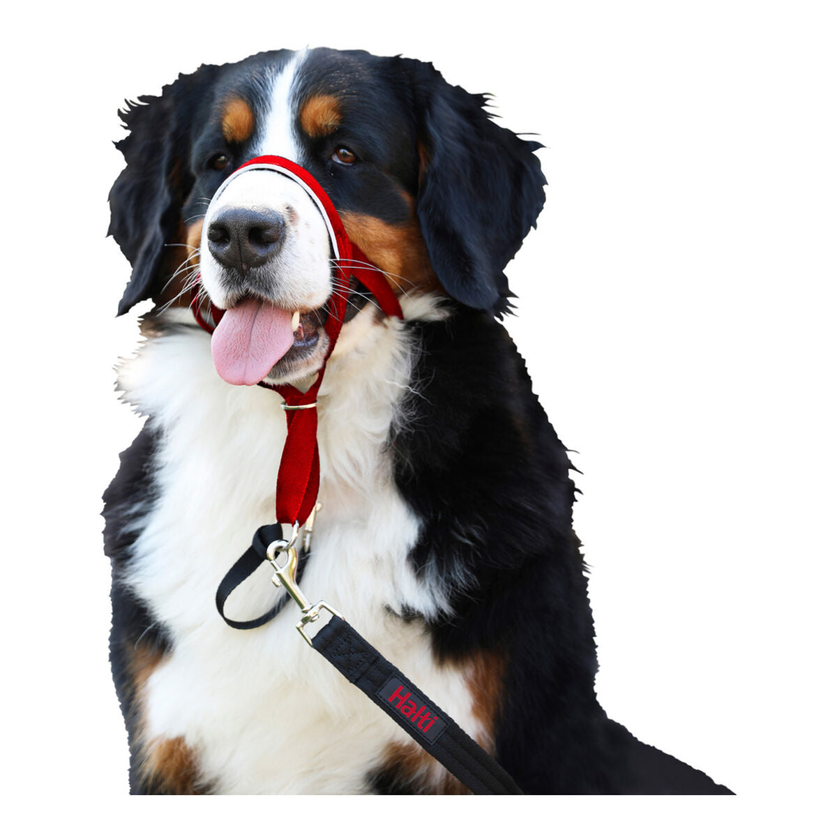 V11H6D08FD37890D149968A7F5F6D9975779R7807275P4