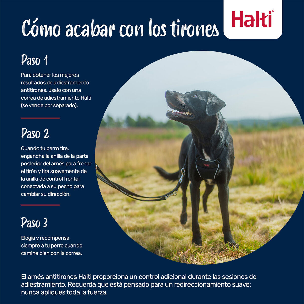 V4HD1354AA41A75B2202607B1658A393A86R7523715P4