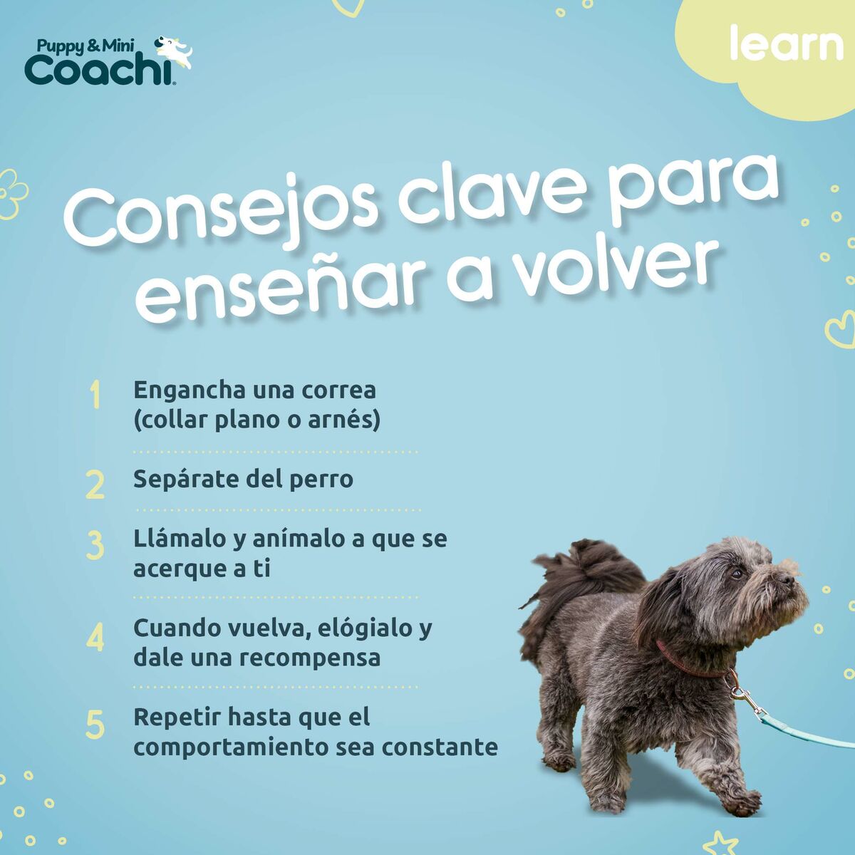 V5H923D757ED6E4725AF4377FF3ED23E690R5717609P5