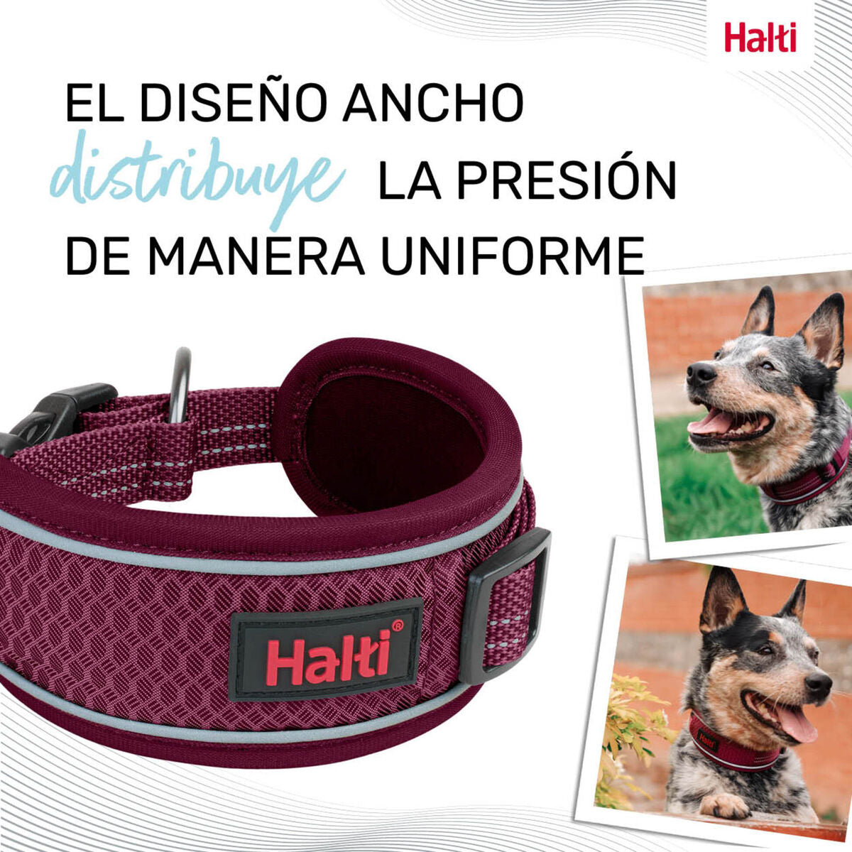 V2HF549C361A0506DBDE47B5B06630ECA5CR7722834P9