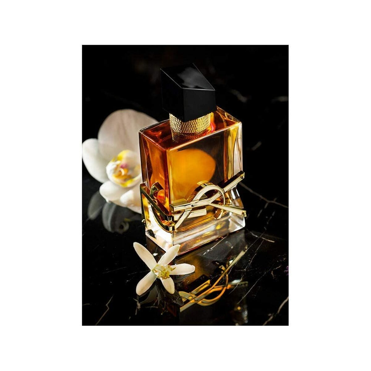 V2H3B7F9426B2E7FCE6E85D1E26186B613BR5935815P6