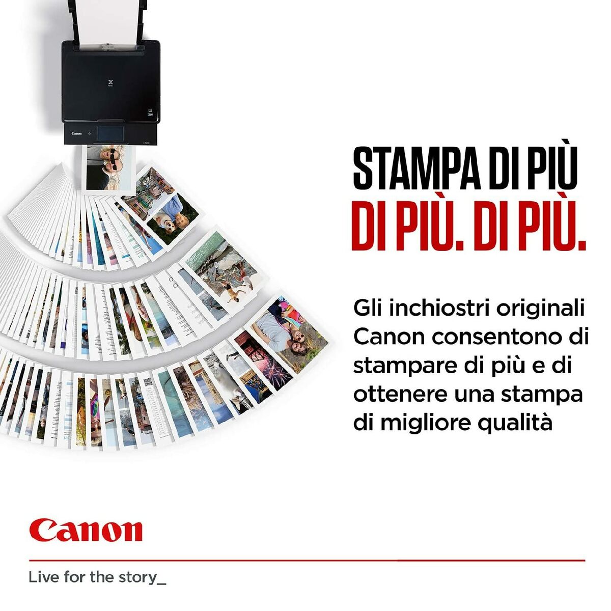 V5HD71C2B7D35636BCA8BE2003C3FB50646R6613565P10