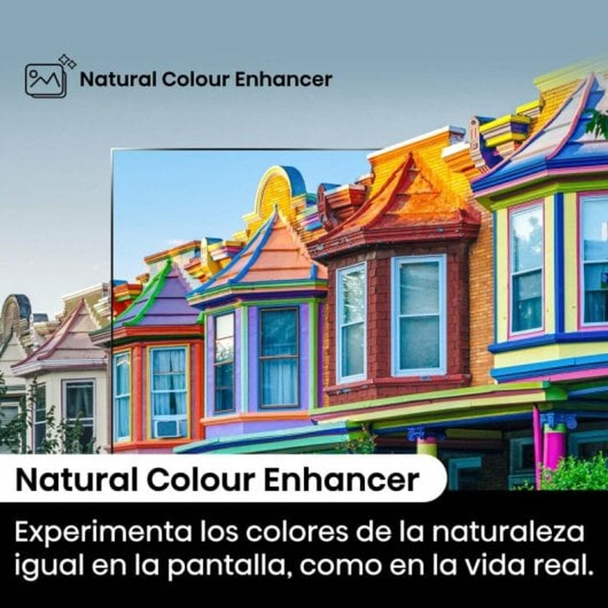 V5H01DE3078836C0C64378293C8CD404A4AR6290031P5