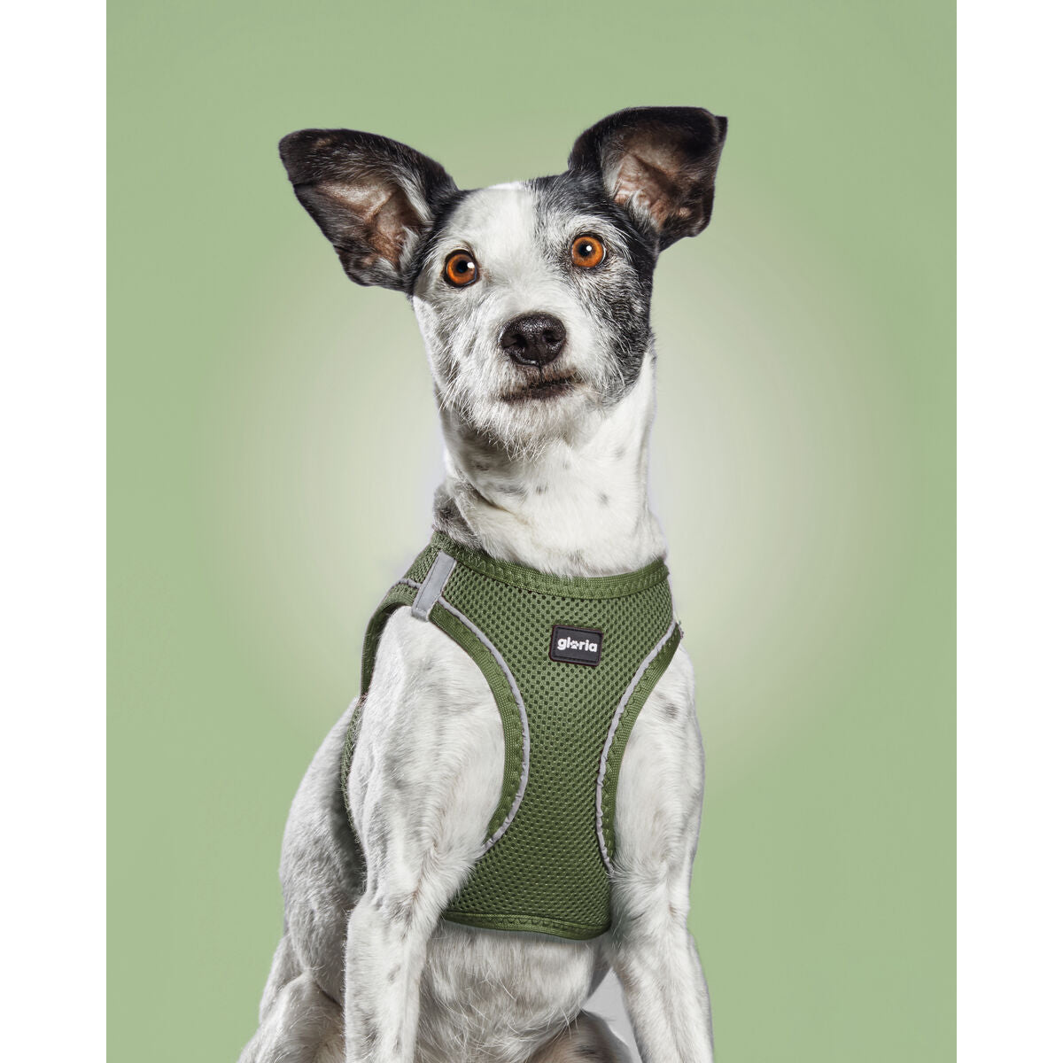 V8H318976B789C1E6F11C666DBCF616D3C5R3627738P6