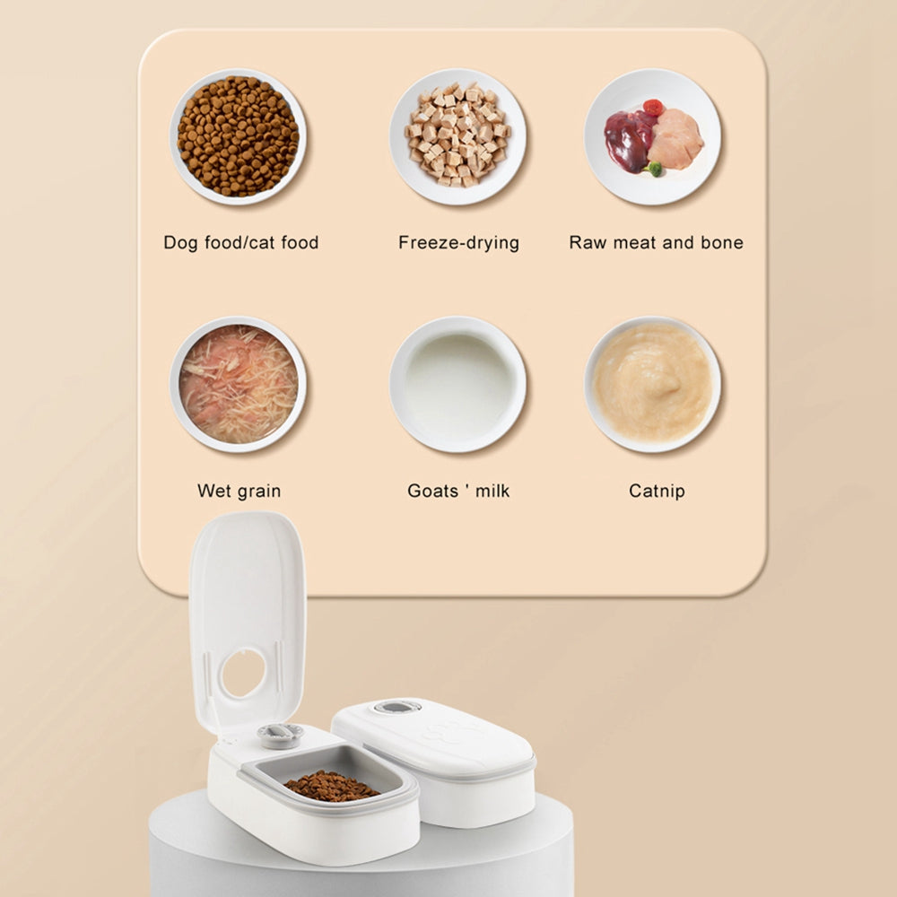 Alimentatore automatico per animali domestici Dispenser di alimenti intelligenti per gatti Cani Timer Ciotola in acciaio inossidabile Auto Cane Gatto Alimentazione per animali domestici Forniture per animali domestici