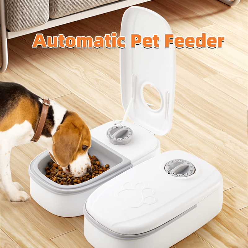 Alimentatore automatico per animali domestici Dispenser di alimenti intelligenti per gatti Cani Timer Ciotola in acciaio inossidabile Auto Cane Gatto Alimentazione per animali domestici Forniture per animali domestici