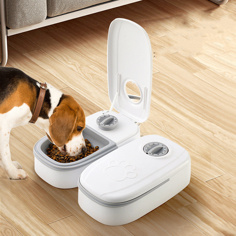 Alimentatore automatico per animali domestici Dispenser di alimenti intelligenti per gatti Cani Timer Ciotola in acciaio inossidabile Auto Cane Gatto Alimentazione per animali domestici Forniture per animali domestici